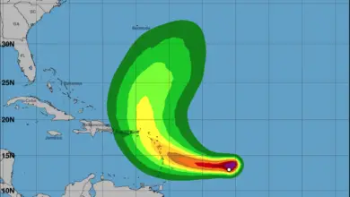 Tropical storm Tammy